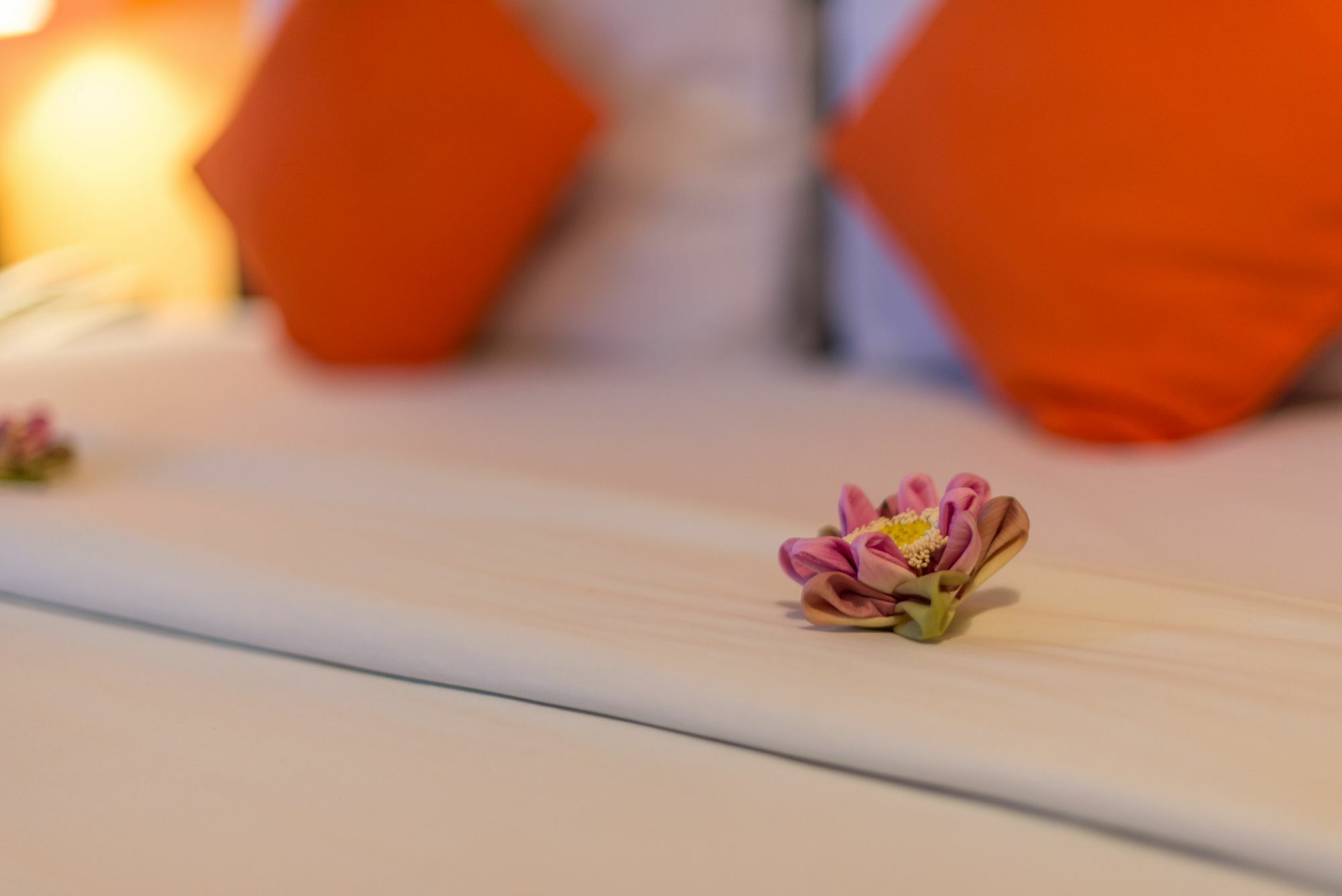 Jk Resident Hotel Сием Реап Екстериор снимка