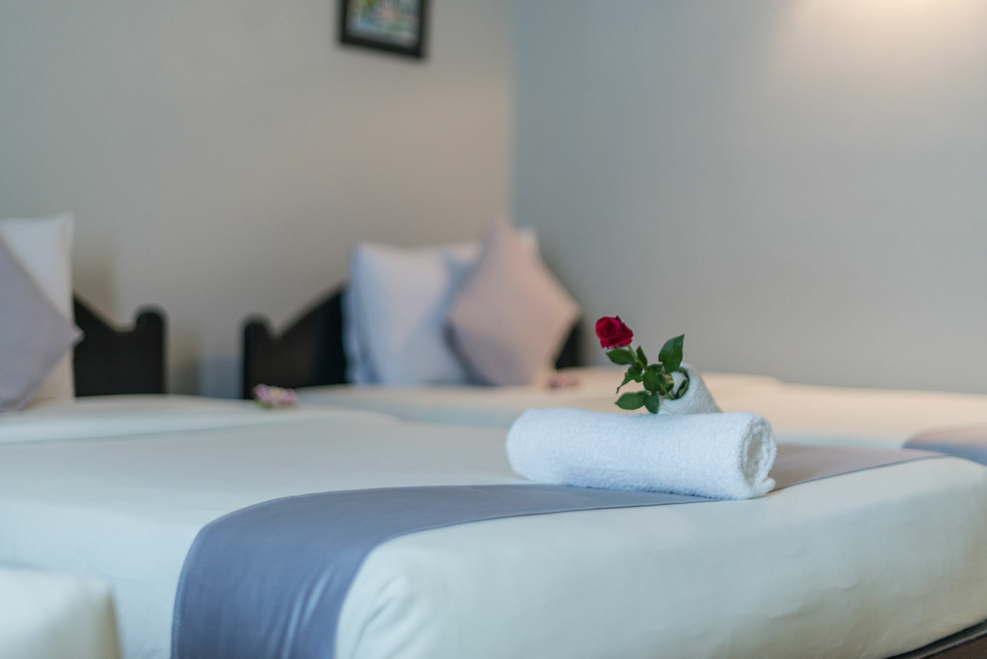 Jk Resident Hotel Сием Реап Екстериор снимка